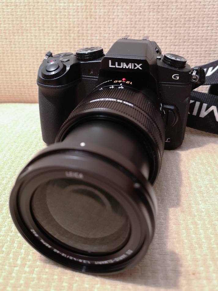 20190313_panasonic_g80-1.jpg