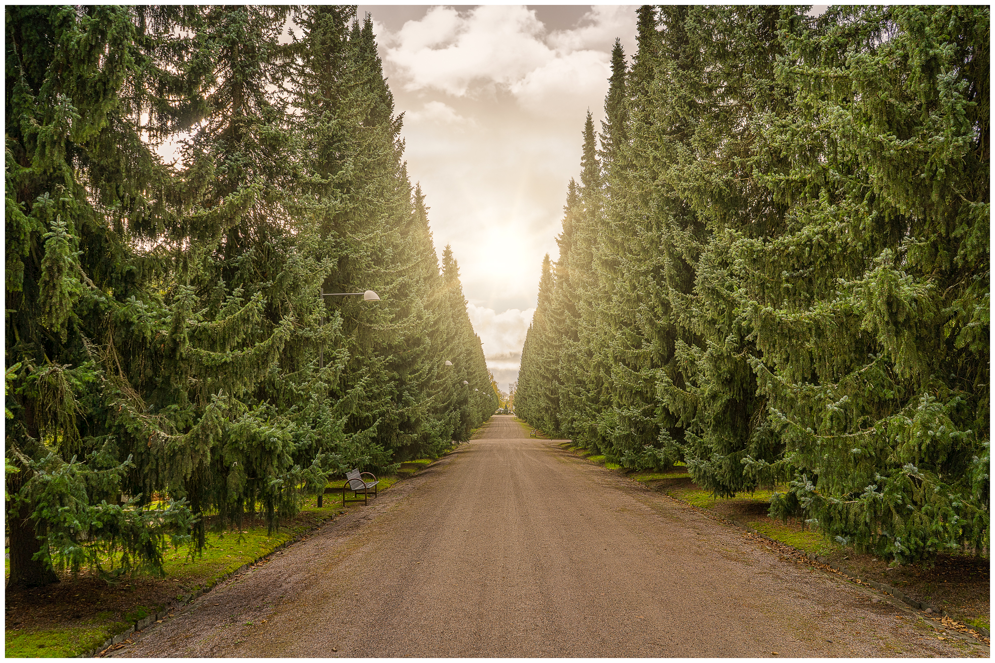 Last Green Mile in Malmi cemetery-002.jpg