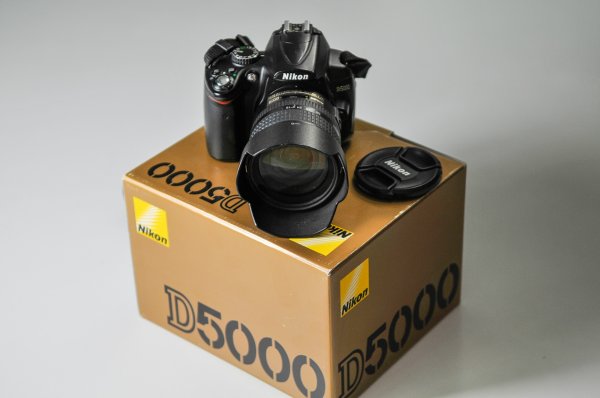 nikon5000-9908.jpg