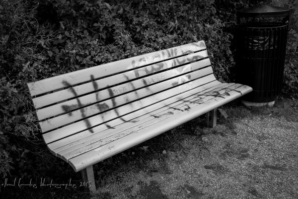 Bench-2.jpg