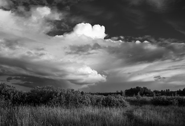 Myrskyn jälkeen on poutasää n.jpg