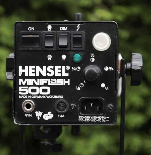 Hensel 500 (4.jpg