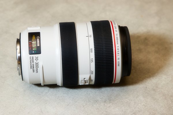 Canon EF 70-300 L IS USM.jpg