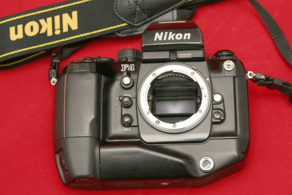 nikon.jpg