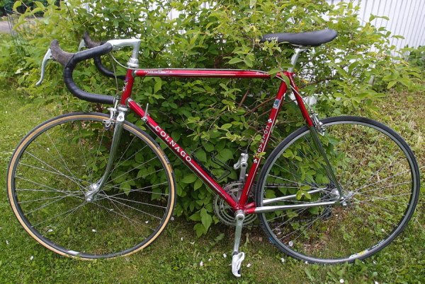 Colnago Master.JPG