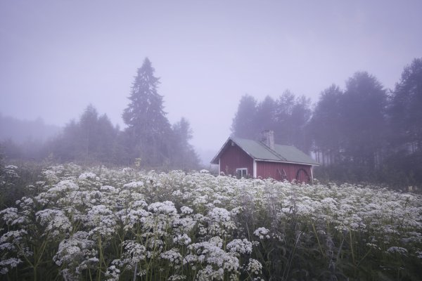 _MG_7484_pihasauna_1500.jpg