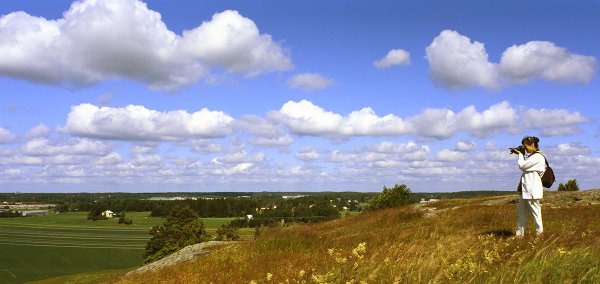 Vanhalinnanvuori.jpg