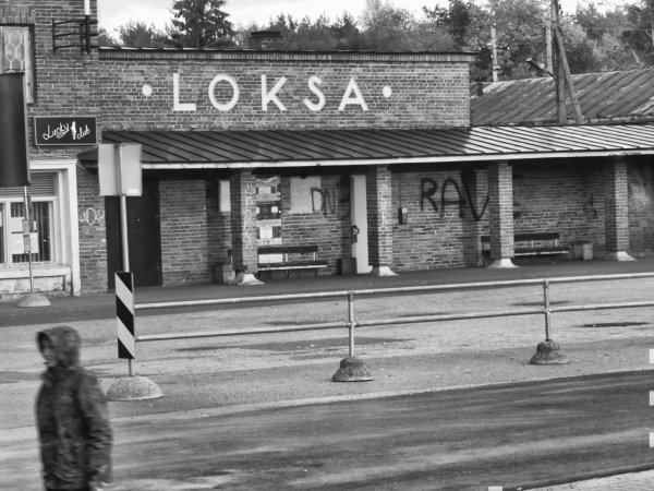 Markku_Salonen-Loksa.jpg