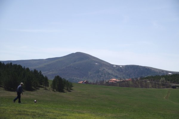 palloilija.jpg