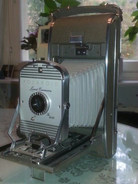 polaroid 800.jpg