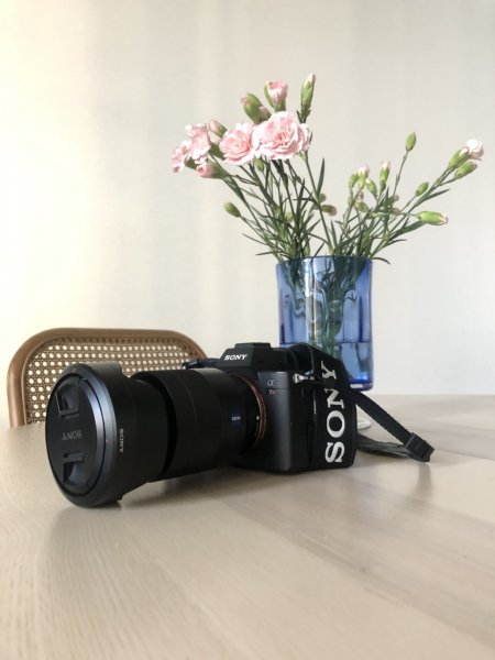 Sony a7RIII.jpg