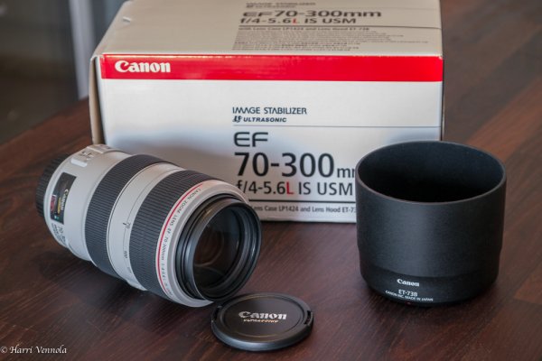 Canon-1040465.jpg