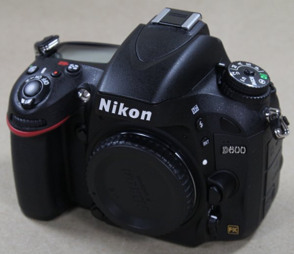 Nikon D600 ISO view.JPG