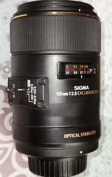 Sigma_105_2.8_DG HS OSM (1).jpg