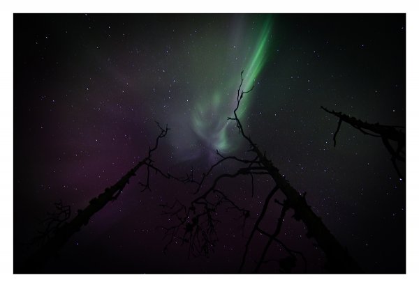 aurora1_small.jpg