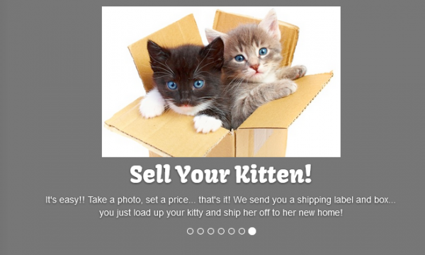 Screenshot 2022-09-23 at 12-50-32 Mail Order Kittens.png