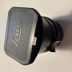 Leica SEM 21mm