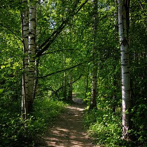 Vantaanjoen luontopolku I