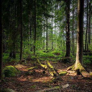 Kalkkikallio I